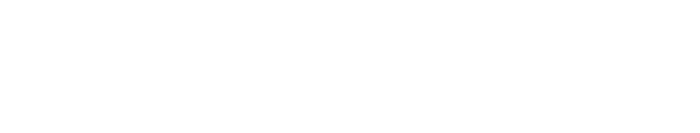 adnkronos logo neg